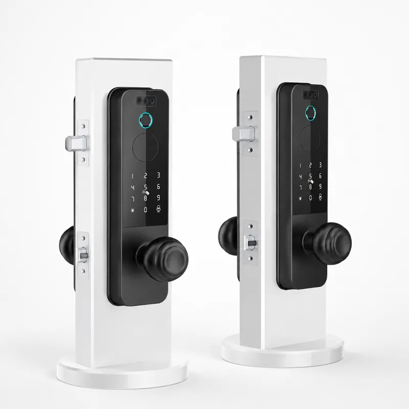 Cross-border Wooden Door Lock  - Smart Door Lock Wifi ulasan dan harga